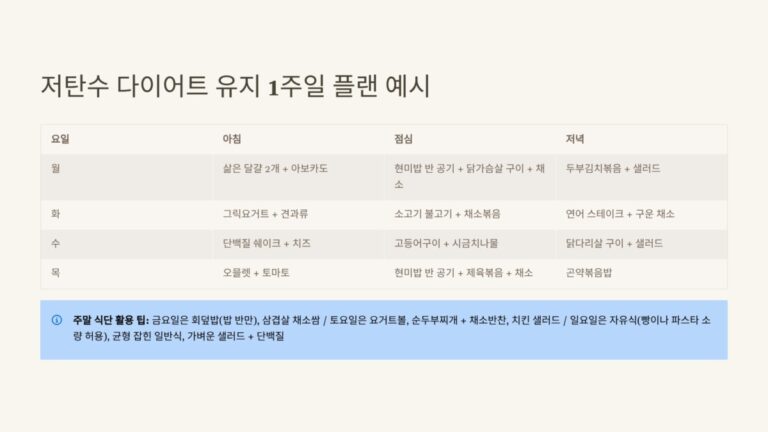  저탄수 다이어트 유지법 & 요요 방지 전략 식단
