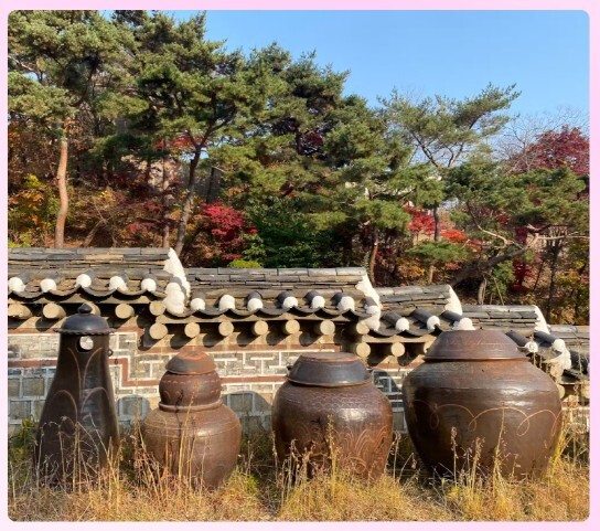 전통 장(醬)과 현대 건강식장독대