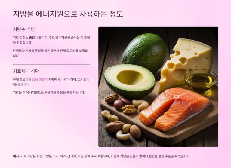 지방을 에너지원으로