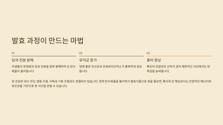  발효식품이 저탄수
