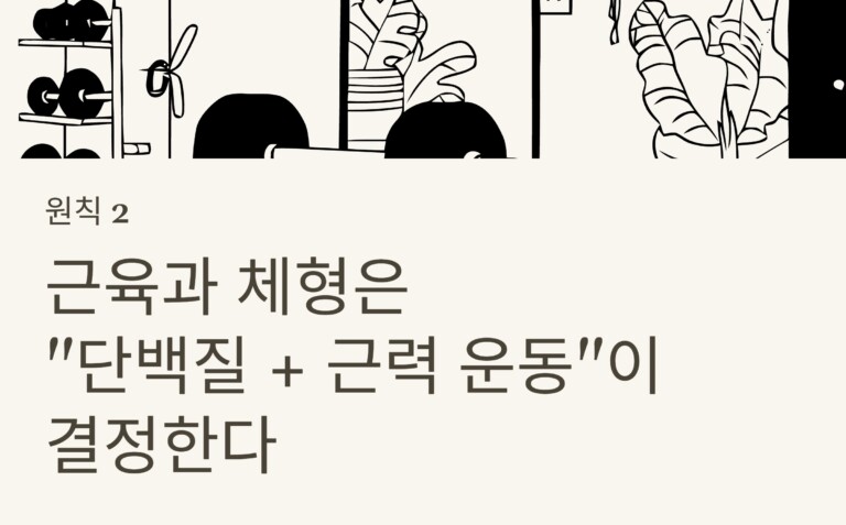 단백질 + 근력 운동